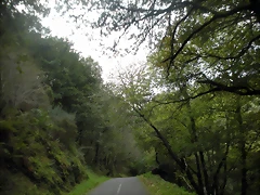 DSCN9461 DSCN9461