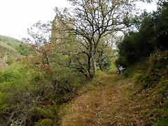 DSCN9693 DSCN9693
