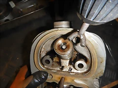 DSCN0209 DSCN0209