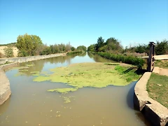 14 DSCN9356 14 DSCN9356