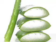 aloe vera para estrías