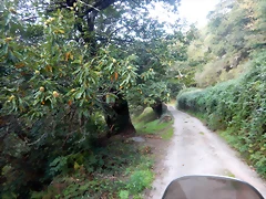 DSCN0700 DSCN0700
