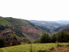 DSCN4320 DSCN4320