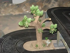 rboles (6) (Small)