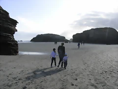 R0011071 R0011071