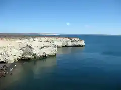 Puerto Madryn, loberia