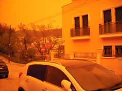 SANY2662 SANY2662