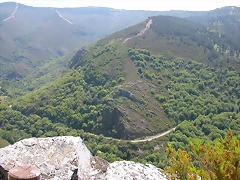 DSCN2140 DSCN2140