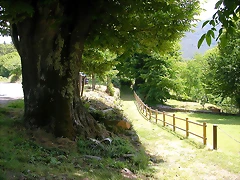 DSCN2152 DSCN2152
