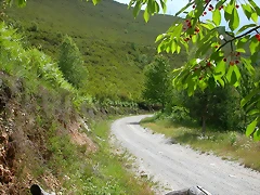 DSCN2246 DSCN2246