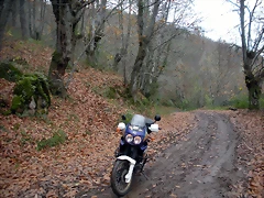 DSCN0858 DSCN0858
