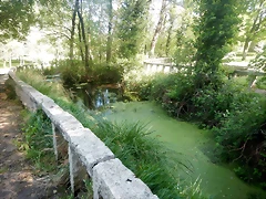 DSCN6169 DSCN6169