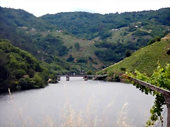 DSCN3492 DSCN3492