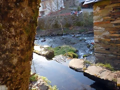 DSCN2831 DSCN2831