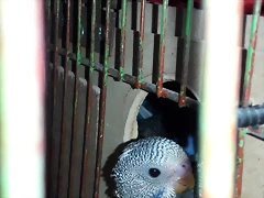 20180205_180122