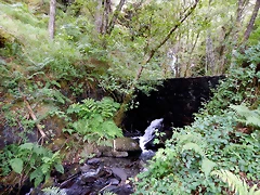 DSCN1324 DSCN1324