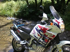 P8110026 P8110026