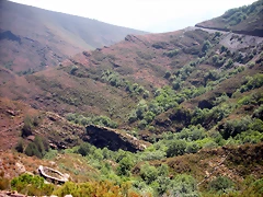 DSCN5793