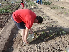 DSC02339