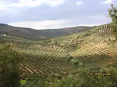 14, la caada de beda, marca