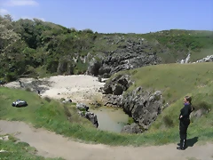 R0012790 R0012790