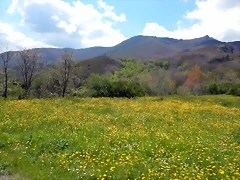 DSCN9519 DSCN9519