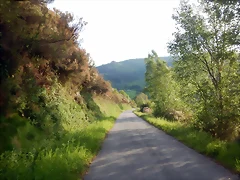 DSCN2131 DSCN2131