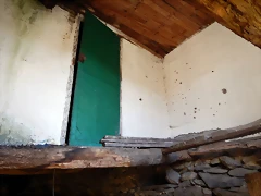 DSCN2530 DSCN2530
