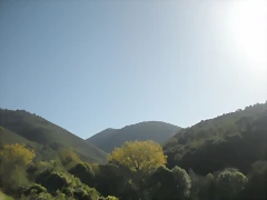 DSCN9992 DSCN9992