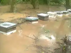 colmenas bajo agua