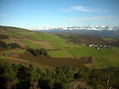 DSCN2519 DSCN2519