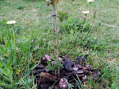 IMG_20200420_145407 IMG_20200420_145407