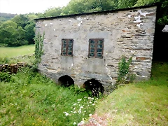 DSCN4356 DSCN4356