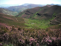 DSCF2559 DSCF2559