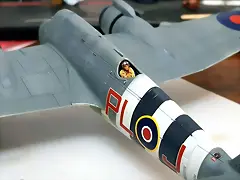 SDC39037 SDC39037