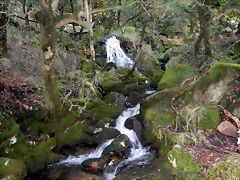 DSCN1700 DSCN1700