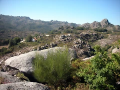 DSCN7899 DSCN7899