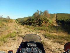 DSCN7714 DSCN7714