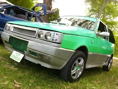 P1050907 P1050907