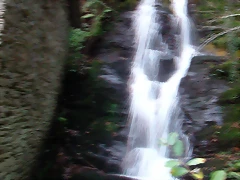 DSCN6315 DSCN6315