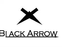 Black Arrow Logo2