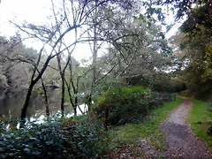DSCN3763 DSCN3763