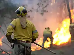 Incendio-Camping-Nerva-.jpg