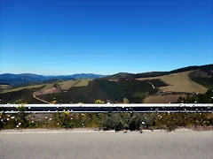 DSCN3897