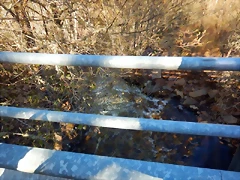 DSCN4030 DSCN4030