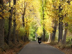 A28