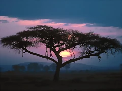 East African Sunset East African Sunset