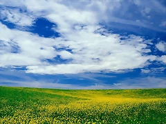Easy Breezy Day, Washington Easy Breezy Day, Washington
