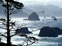 Ecola Point, Oregon Coast Ecola Point, Oregon Coast