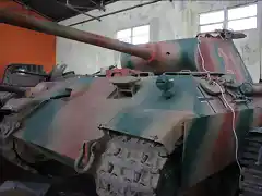 panther2